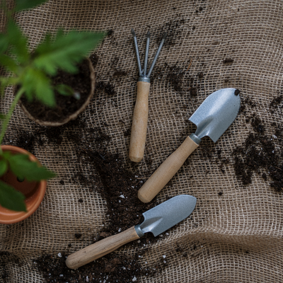 Nurture Your Garden with These Innovative Gardening Tools